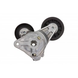 MULTIFR. RIEMENSPANNER FORD...