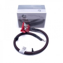 BATTERIEKLEMME BMW X5 F95...