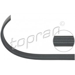 KEILRIEMEN 5PKX 810/EPDM