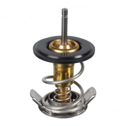 Thermostat Land Rover...