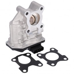 EGR-Ventil Nissan