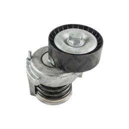 Spannrolle mit Spanner Audi...