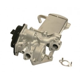 EGR-Ventilmodul VW GOLF VI...