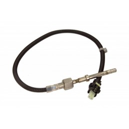 Abgastemperatursensor...