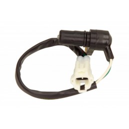 Kurbelwellensensor Citroen...