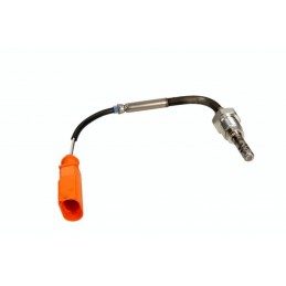 Abgastemperatursensor Audi...