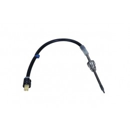 Abgastemperatursensor...