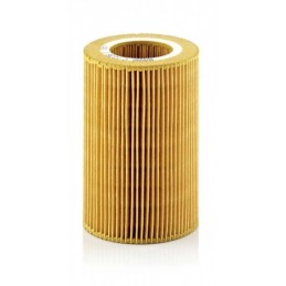 Luftfilter Smart Q0003123V007