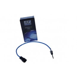 Abgastemperatursensor Ford...