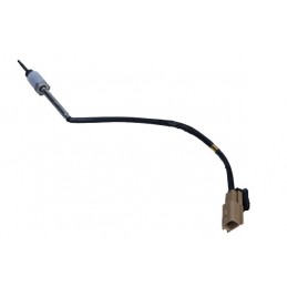 Abgastemperatursensor...
