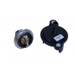 Thermostat Ford 50°C 1,0...