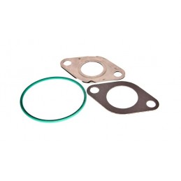 EGR-Dichtungssatz Ford...