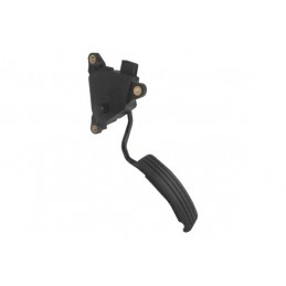 Renault Megane Gaspedal 2,0...