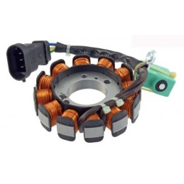 Stator (Wicklung) Magnetrad...