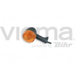 Blinkerglas vorne...