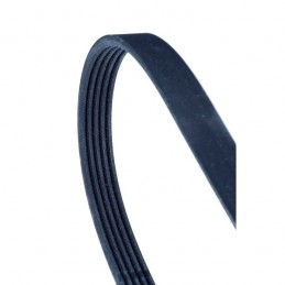 Keilrippenriemen 5PK800 5PK800