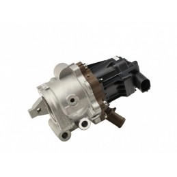 EGR-Ventil Iveco Daily 14...