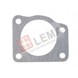 Drosselklappendichtung Fiat...