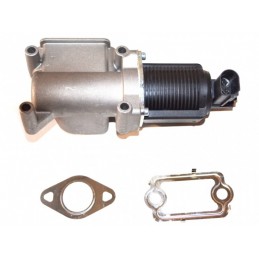 EGR-Ventil Fiat Doblo 00...
