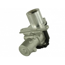 EGR-Ventil Renault Kangoo...