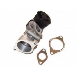 EGR-Ventil Fiat Scudo 07...