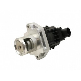 EGR-Ventil Fiat Doblo 09...