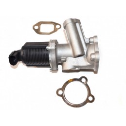 EGR-Ventil Fiat Doblo 00...