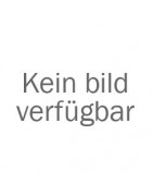 Zylinderkopf